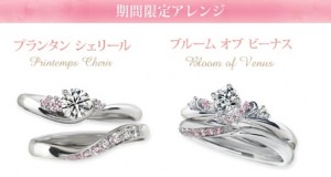 mariage sakura_price2